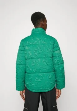 Desigual Padded Calgary - Winterjas - Jungle Green -Desigual 1dee5920f41c4cee90ce339069a4ae9c