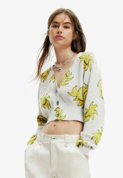 Desigual Knitun Cardigan - Vest - Black/Grey