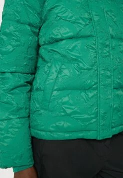Desigual Padded Calgary - Winterjas - Jungle Green -Desigual 49c1e7868044493da02c5f9bfa6a5f20
