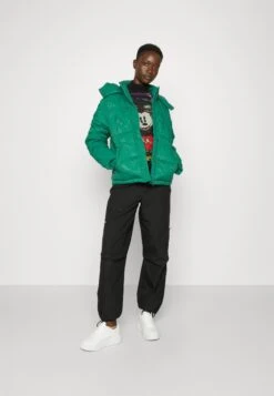 Desigual Padded Calgary - Winterjas - Jungle Green -Desigual 8c5186bb6ef1420b8c8461fbee9f4808