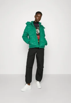 Desigual Padded Calgary - Winterjas - Jungle Green -Desigual 8c5186bb6ef1420b8c8461fbee9f4808 scaled