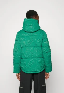 Desigual Padded Calgary - Winterjas - Jungle Green -Desigual 8e5eb67789f74cd6affdfef537bd34d7 scaled
