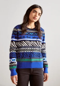 Desigual Dermont - Trui - Navy