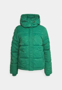 Desigual Padded Calgary - Winterjas - Jungle Green -Desigual e84b6ccbd14c470b9a38e5e3e9ed6a74 scaled